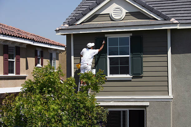 Professional vs DIY Painting in London: What Pros Recommend 1 Exterior Painting